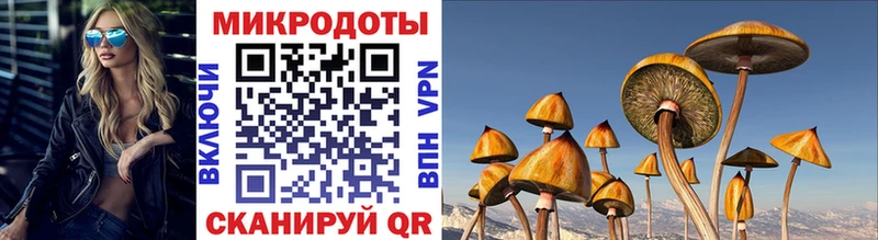 наркота  Новоузенск  mega рабочий сайт  Псилоцибиновые грибы Magic Shrooms 